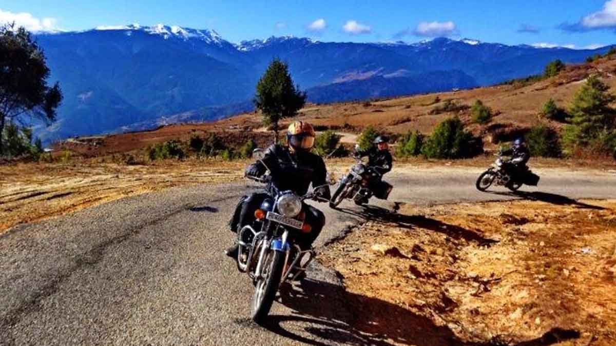 bikes