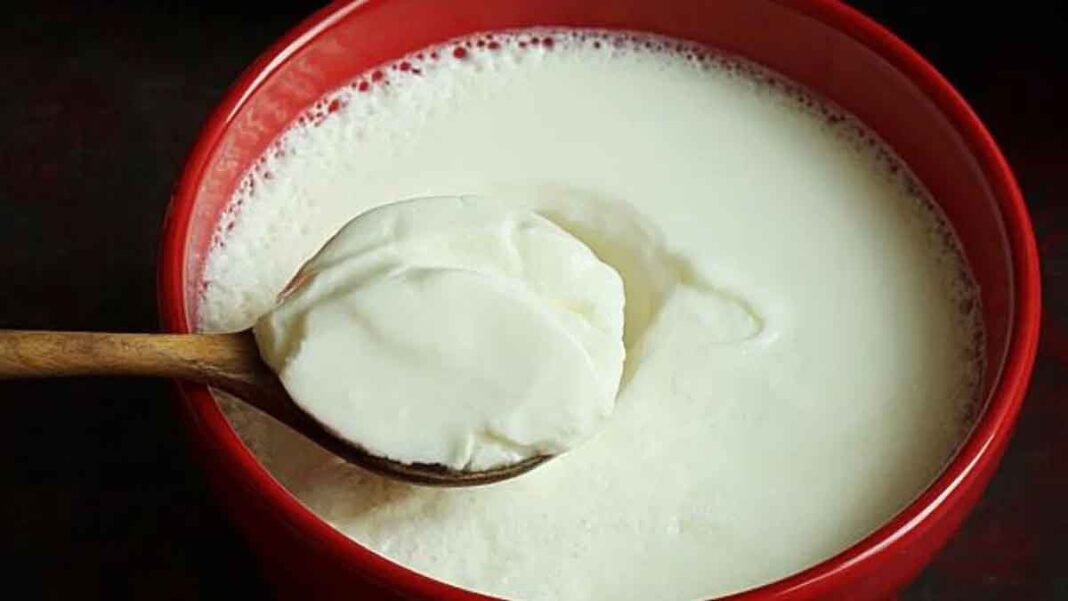 Curd Curd