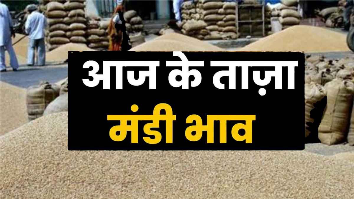 Aaj Ka Mandi Bhav