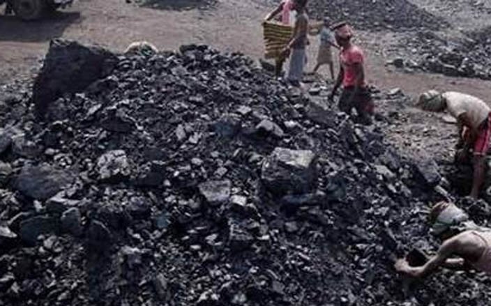Coal