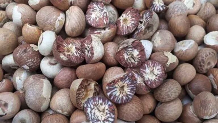 betel nut