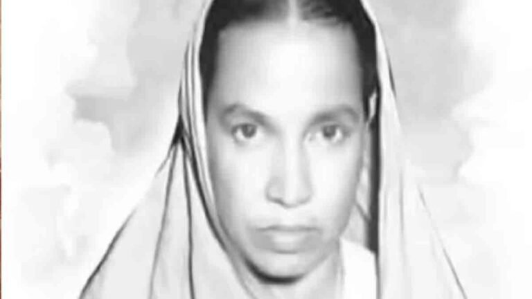 मिनी माता सम्मान