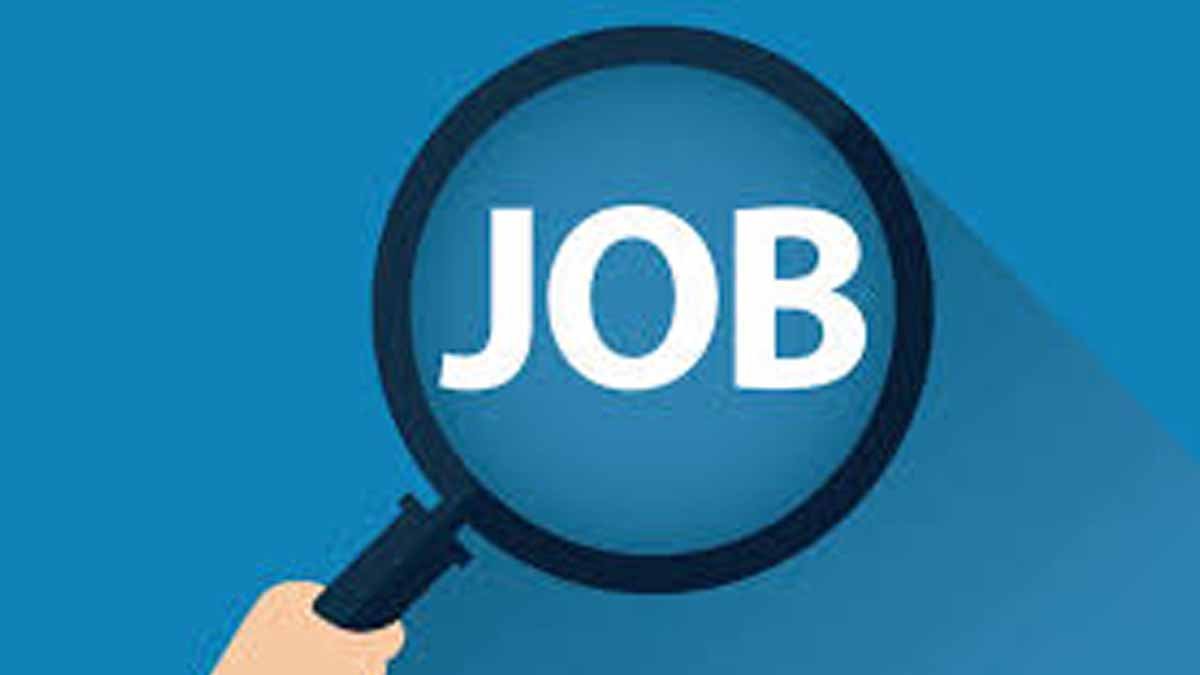 Job Search