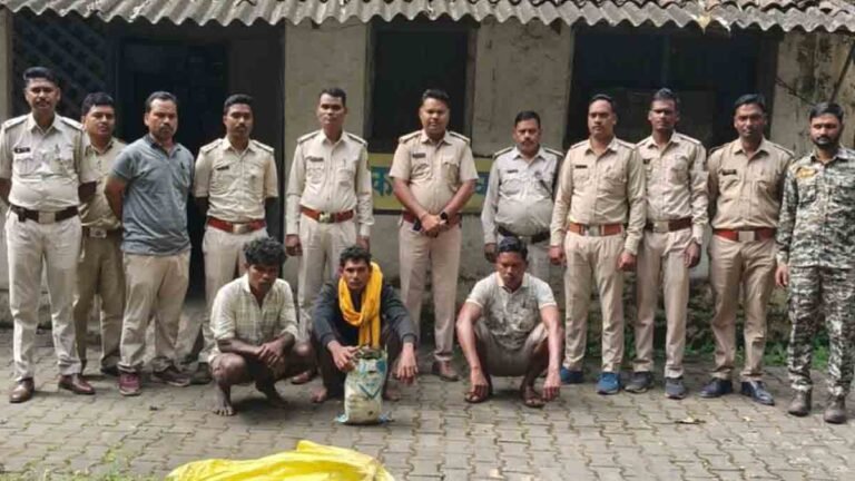 हाथी की करंट से मौत, रायगढ़