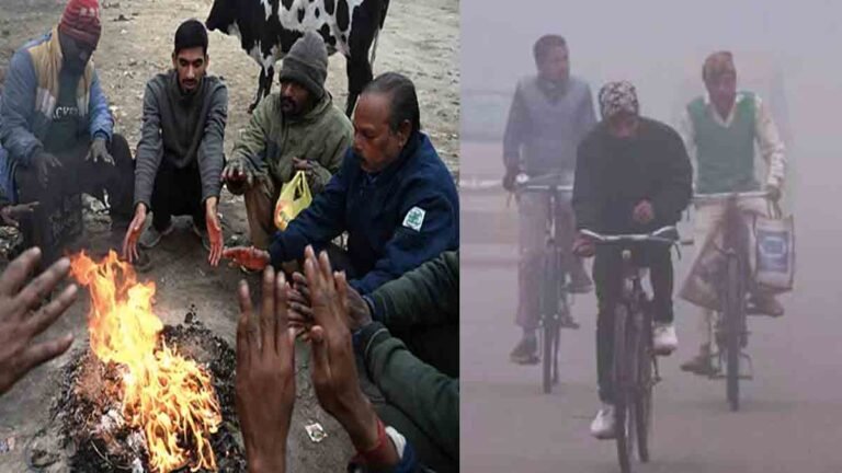 Cold wave in North India