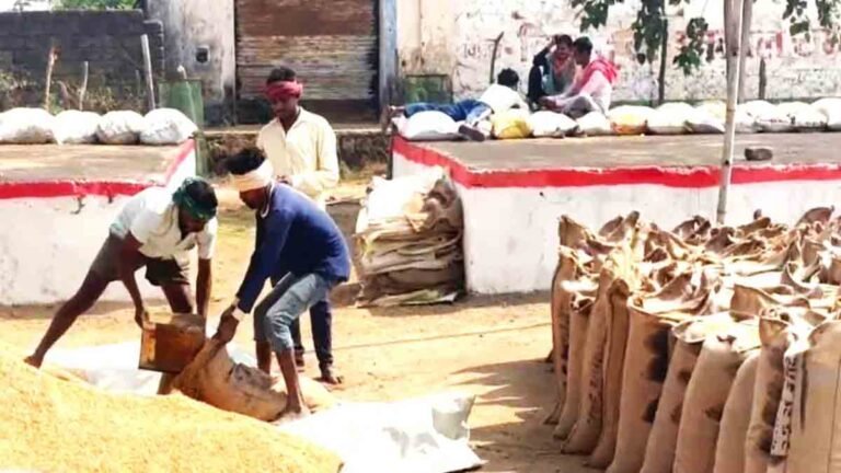 धान परिवहन