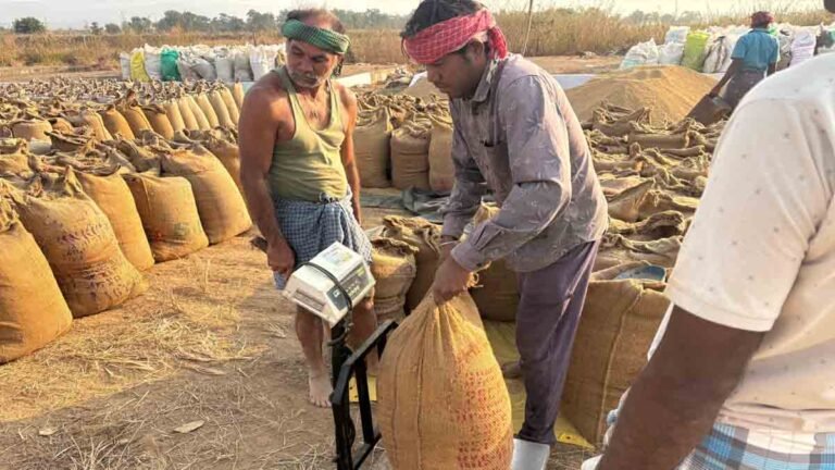 Dhan Kharidi Mahasamund