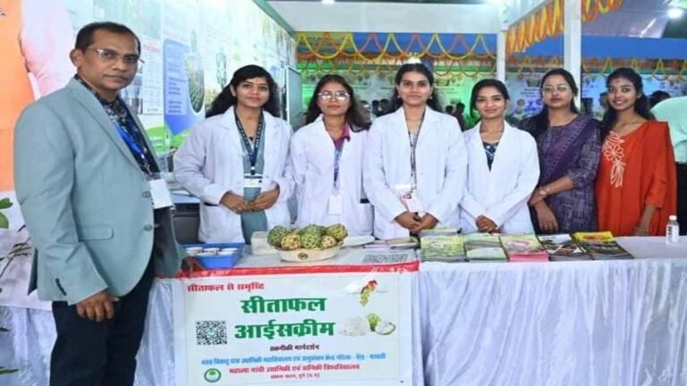 Chhattisgarh Rajyotsav 2025