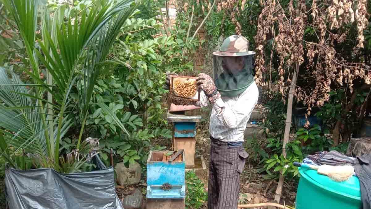 Honey Business मॉडल