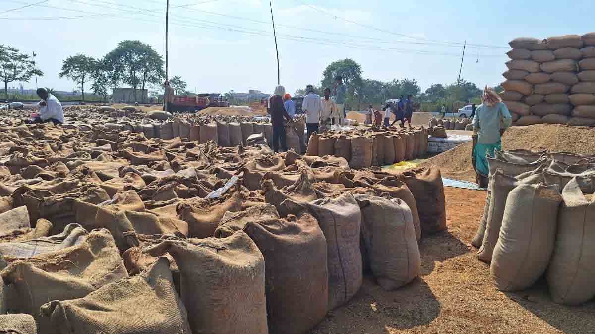 धान खरीदी महासमुंद