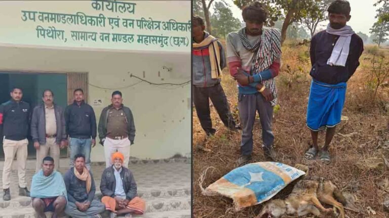 वन अपराध