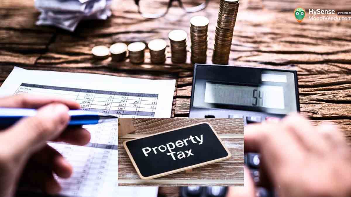 Property Tax
