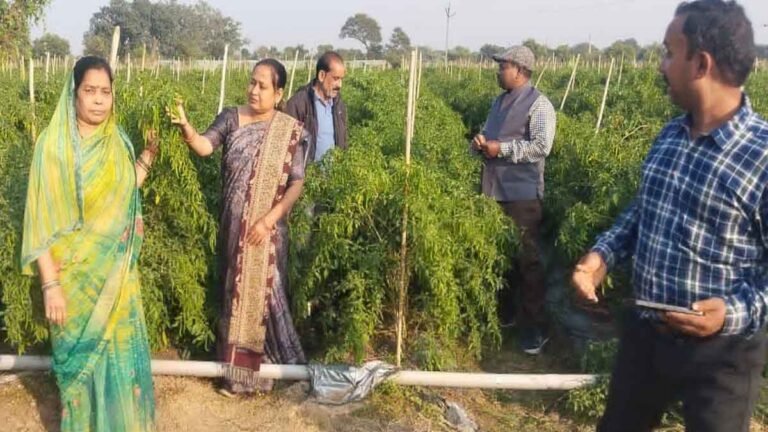 ड्रिप तकनीक