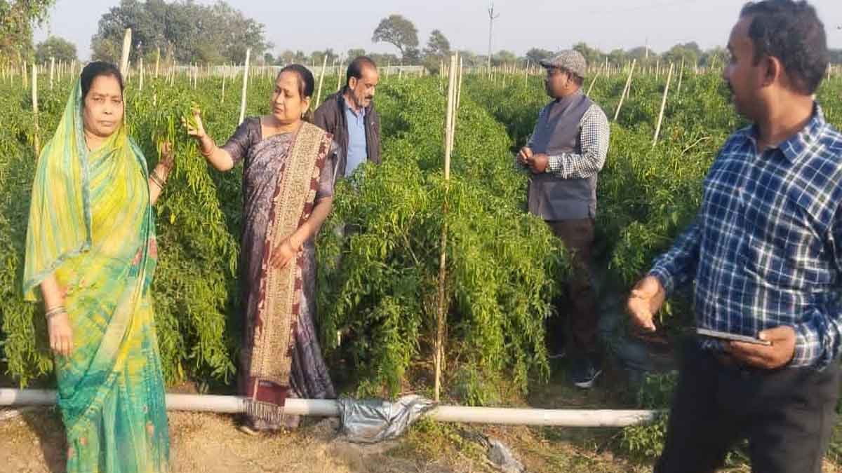 ड्रिप तकनीक