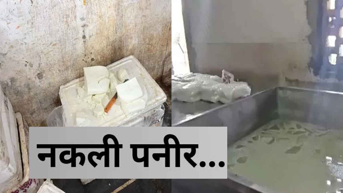 रायपुर में नकली पनीर पर बड़ा एक्शन: 1000 किलो से ज्यादा पनीर नष्ट, फैक्ट्रियों पर छापा 1 Fake Paneer