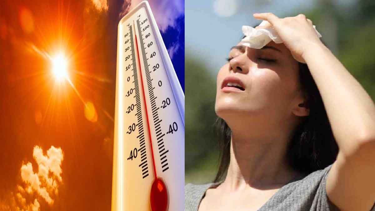 महासमुंद : मौसमी बीमारियों को लेकर स्वास्थ्य विभाग ने जारी किए जरूरी निर्देश, नागरिक रहें अलर्ट 1 Summer Alert