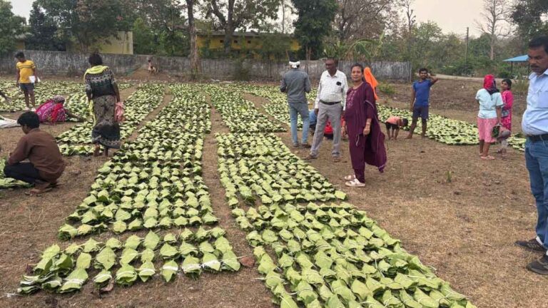 हरा सोना बना आय का मजबूत जरिया, सरकार का बड़ा फैसला