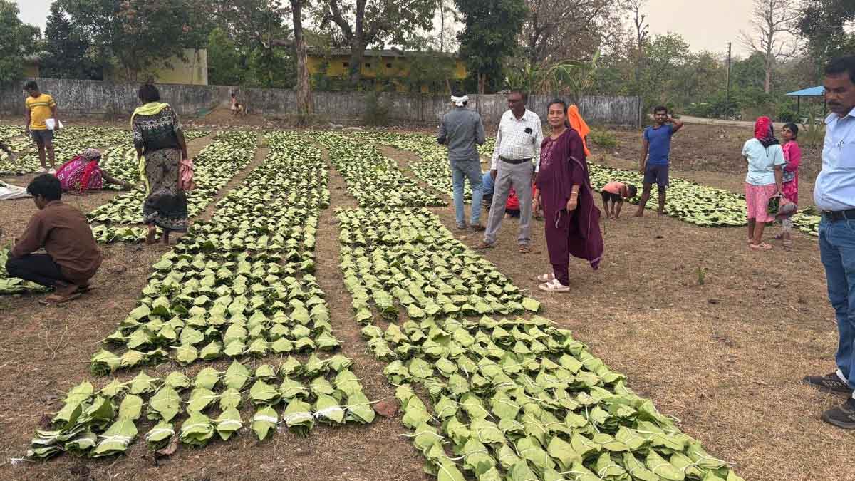 हरा सोना