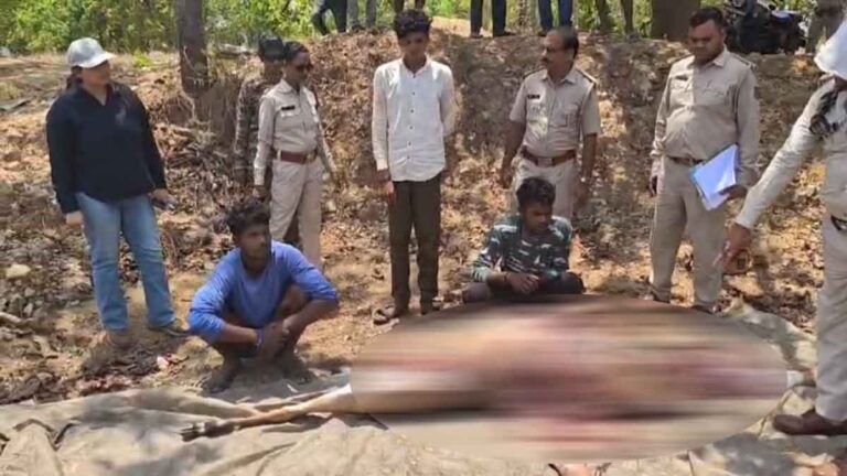 महासमुंद जिले में नीलगाय का क्रूर शिकार: कुल्हाड़ी से हत्या, 2 आरोपी गिरफ्तार, 4 फरार | वन विभाग की सख्त कार्रवाई