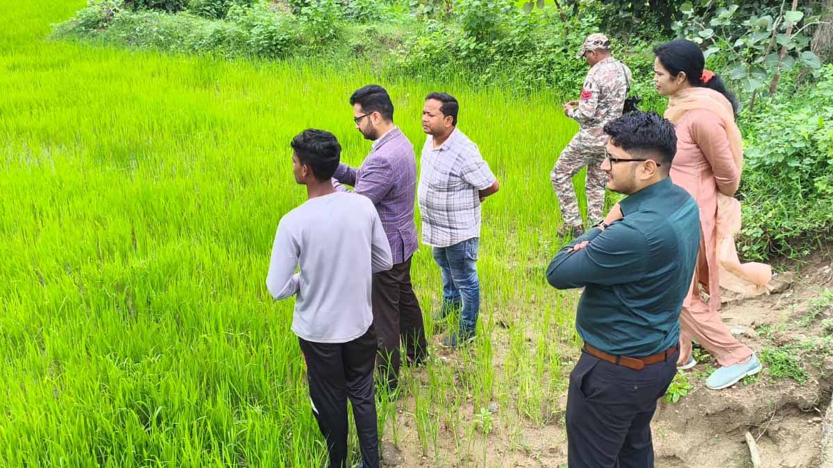 Digital Crop Survey