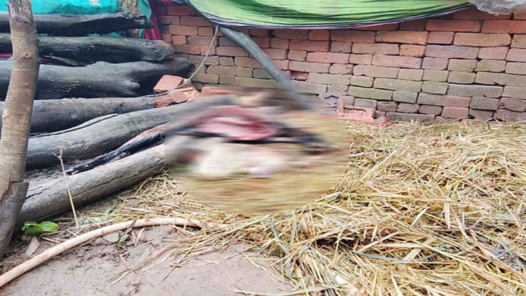 Leopard Attack001 पंडरीपानी में तेंदुए का हमला