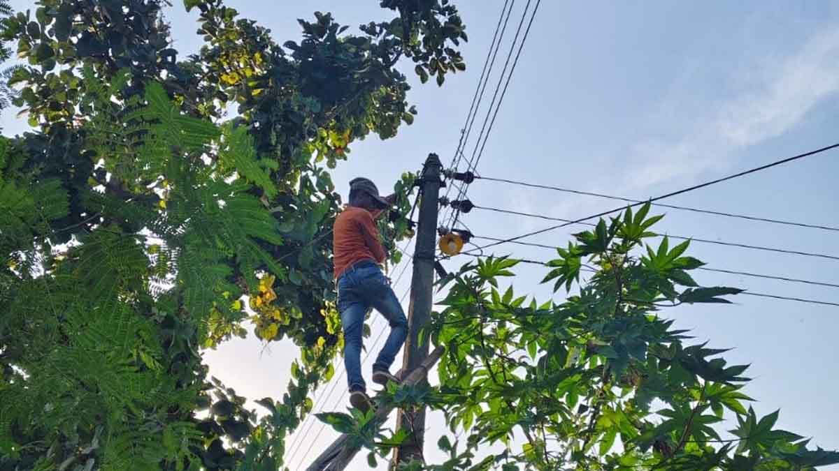 बिजली चोरी पर कार्रवाई