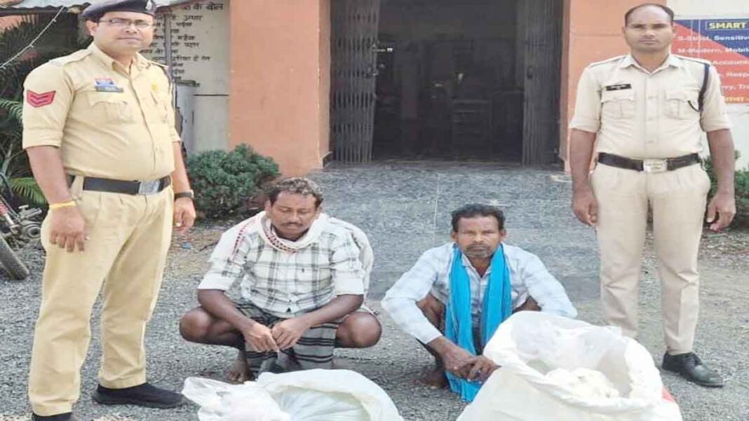 अवैध महुआ शराब जब्त महासमुंद